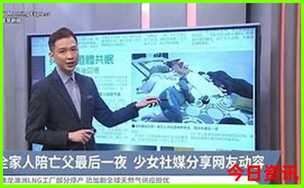 木头价格排行榜前十名